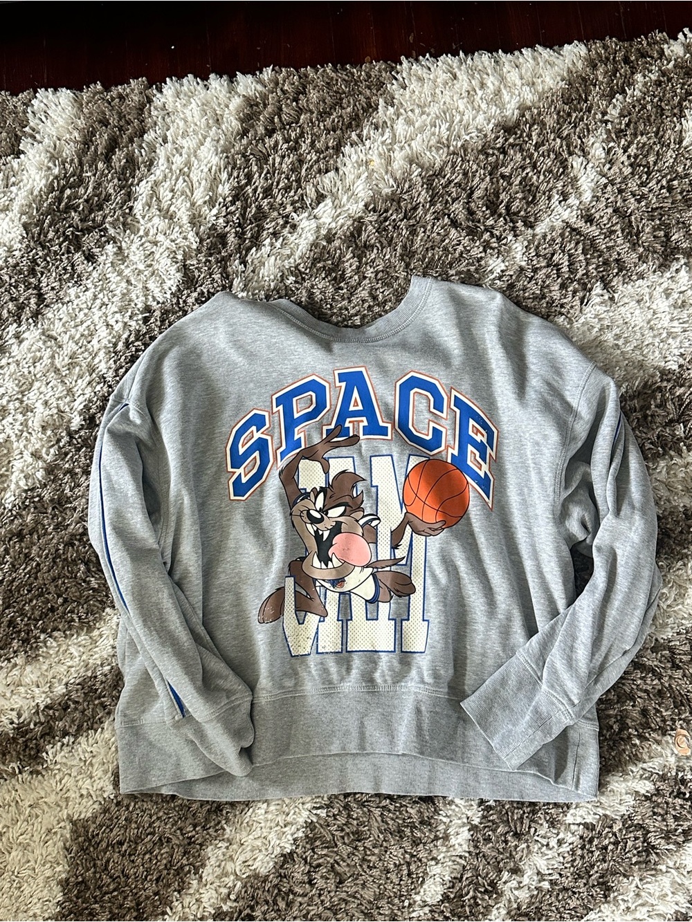 H&M Grey space jam Taz Crewneck